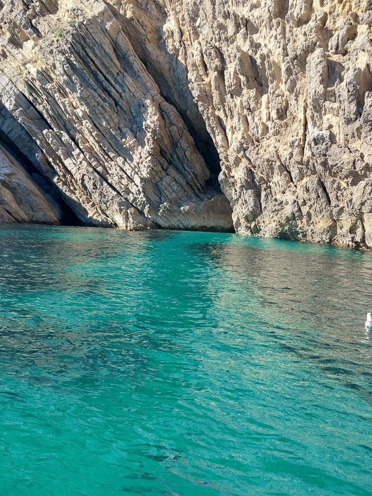 Shanti Farm Meco Σεσίμπρα Εξωτερικό φωτογραφία